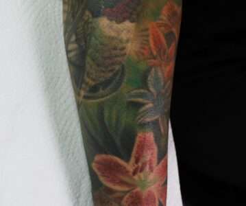 Humming Bird Colour Realism Tattoo Manchester